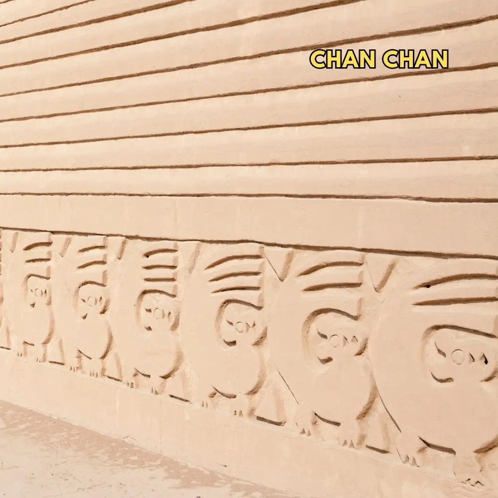 Chan Chan.webp