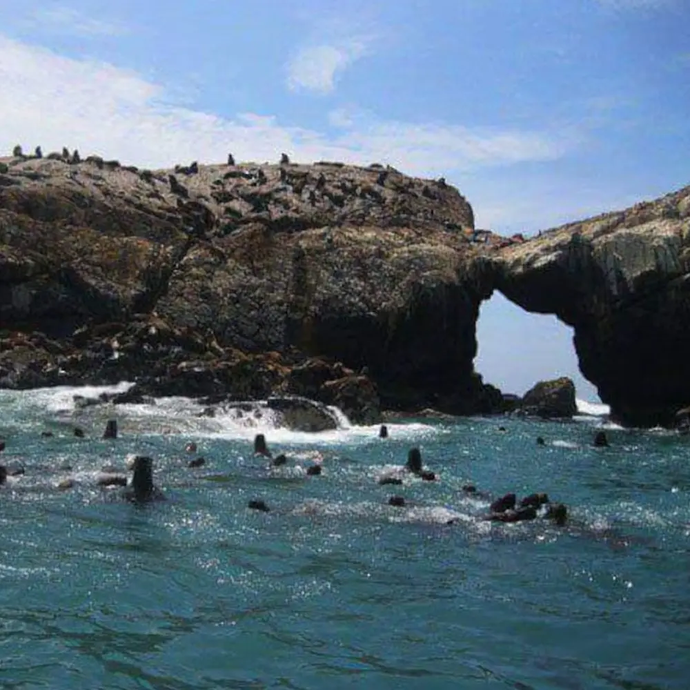 MARAVILLAS DE ISLAS GUAÑAPE