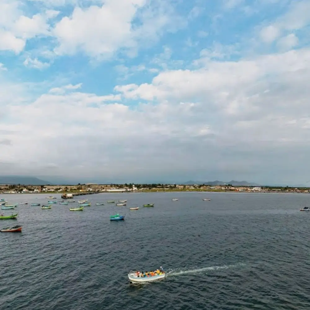 TOUR CAMPESTRE VIRÚ