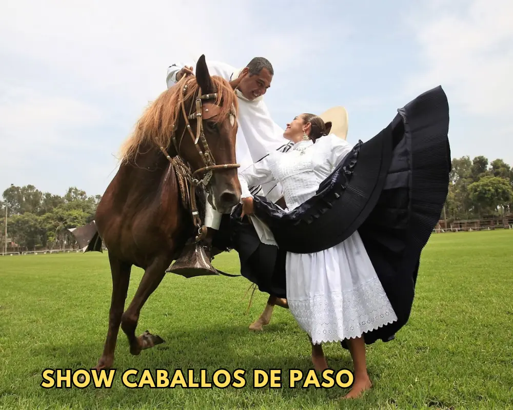 FULL DAY + SHOW DE CABALLOS